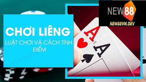 Bài liêng New88