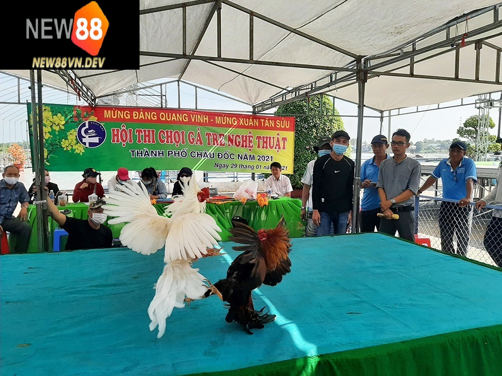 Giá trị kinh tế và văn hóa của Đá Gà Tre New88