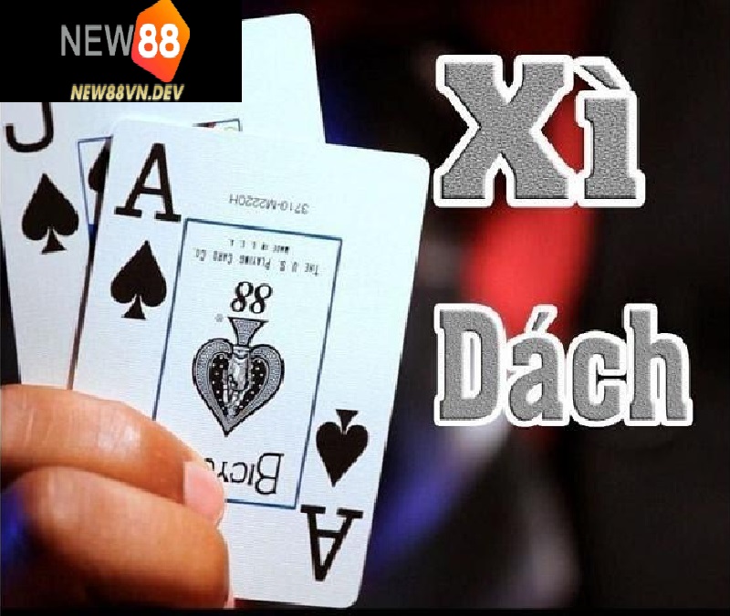 Luật chơi Xì dách hoàng gia tại New88 cực dễ 
