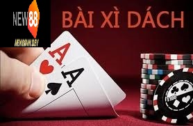 Thuật ngữ Xì dách hoàng gia khi tham gia tại điểm giải trí New88